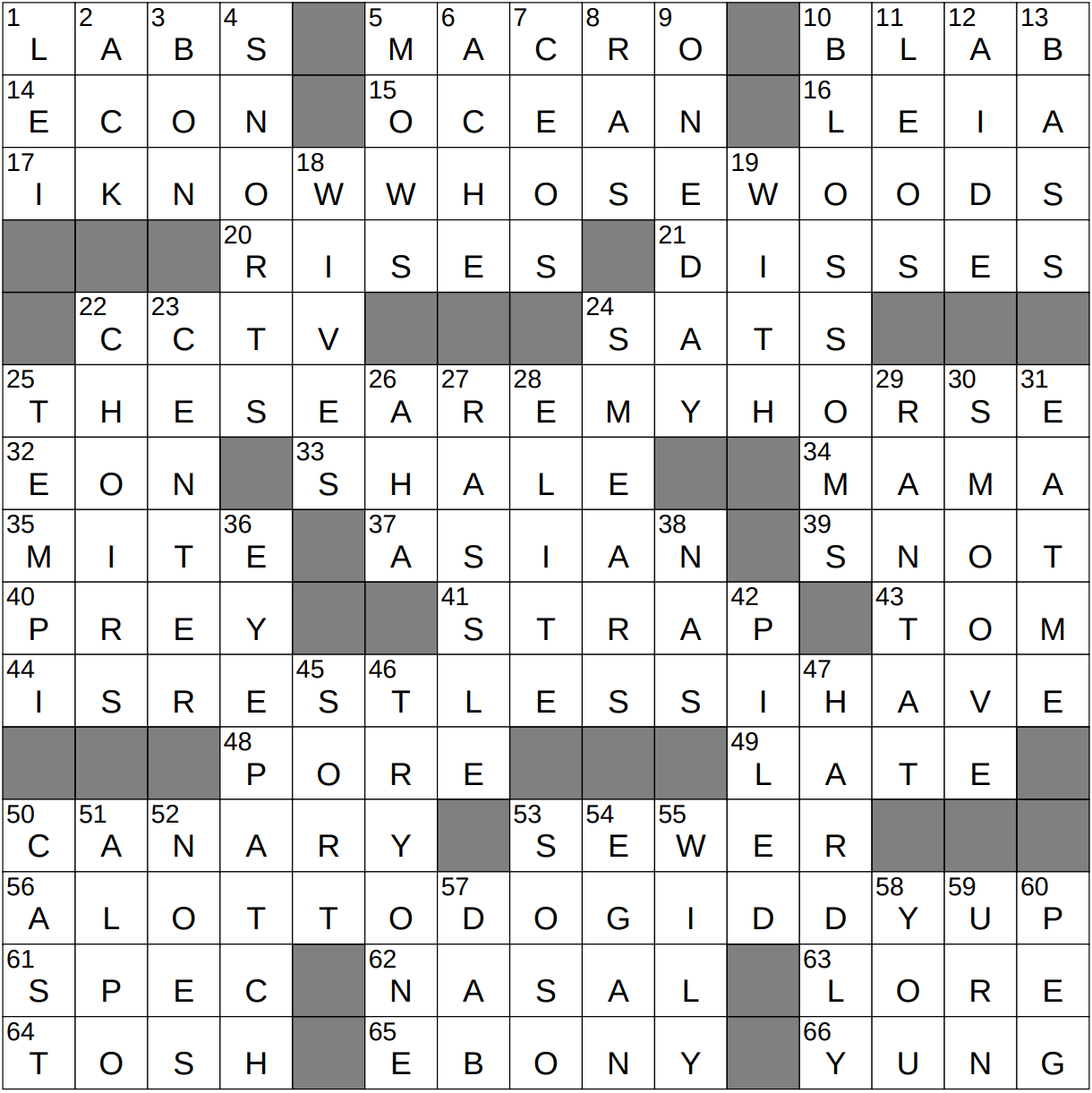 crossword for impudent