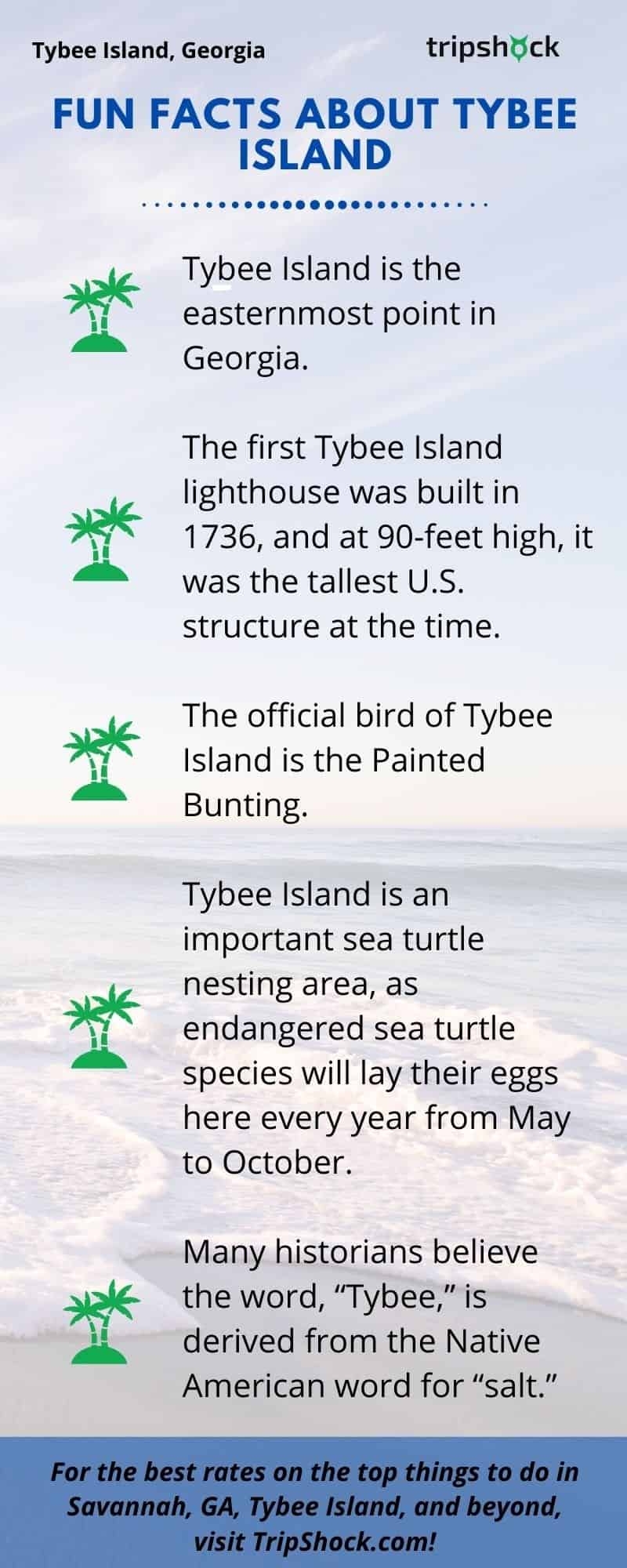 10 Best Things For Couples To Do In Savannah GA