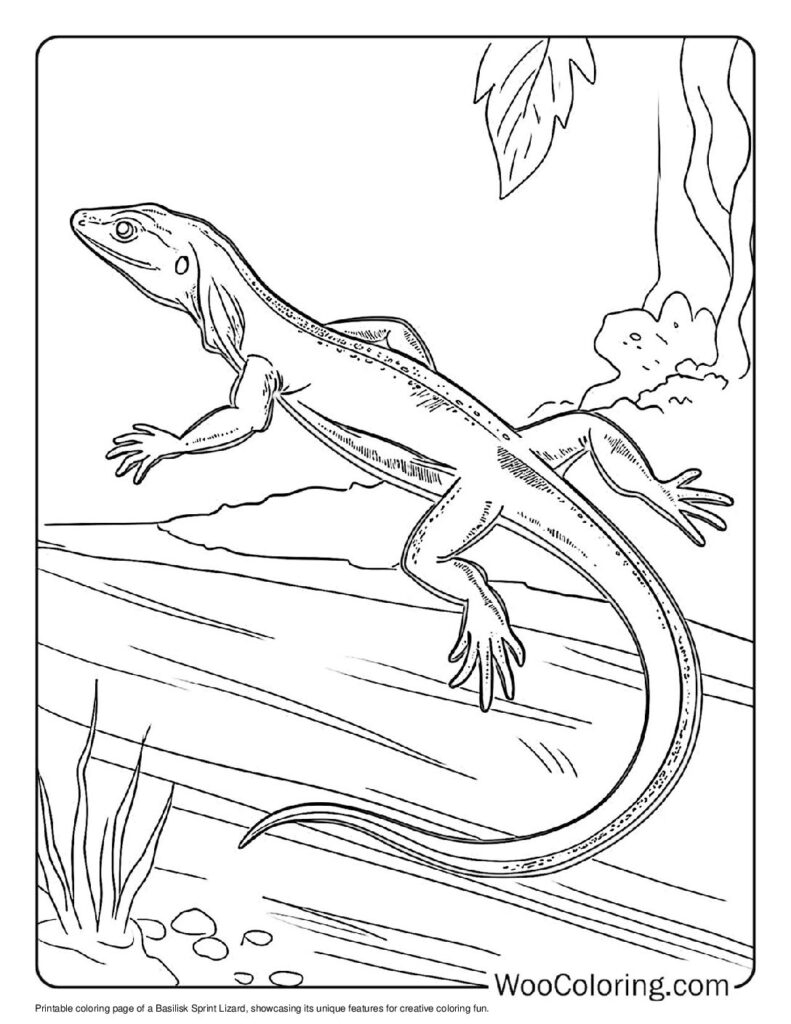 lizard coloring pages