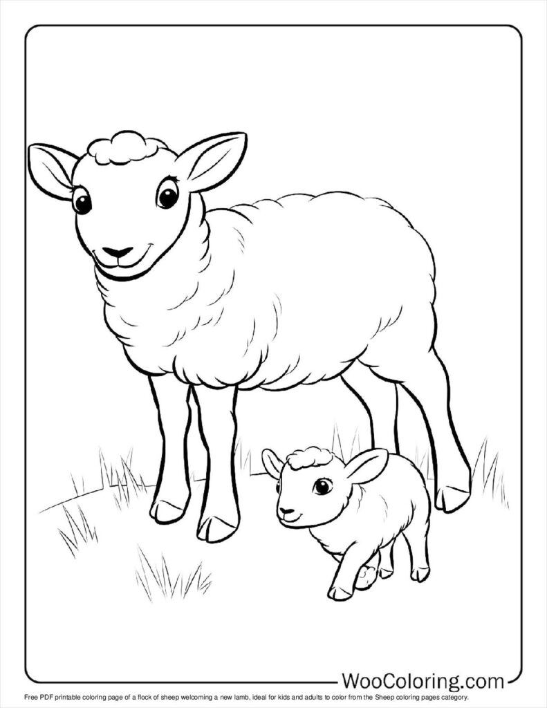 sheep color page sheep color page