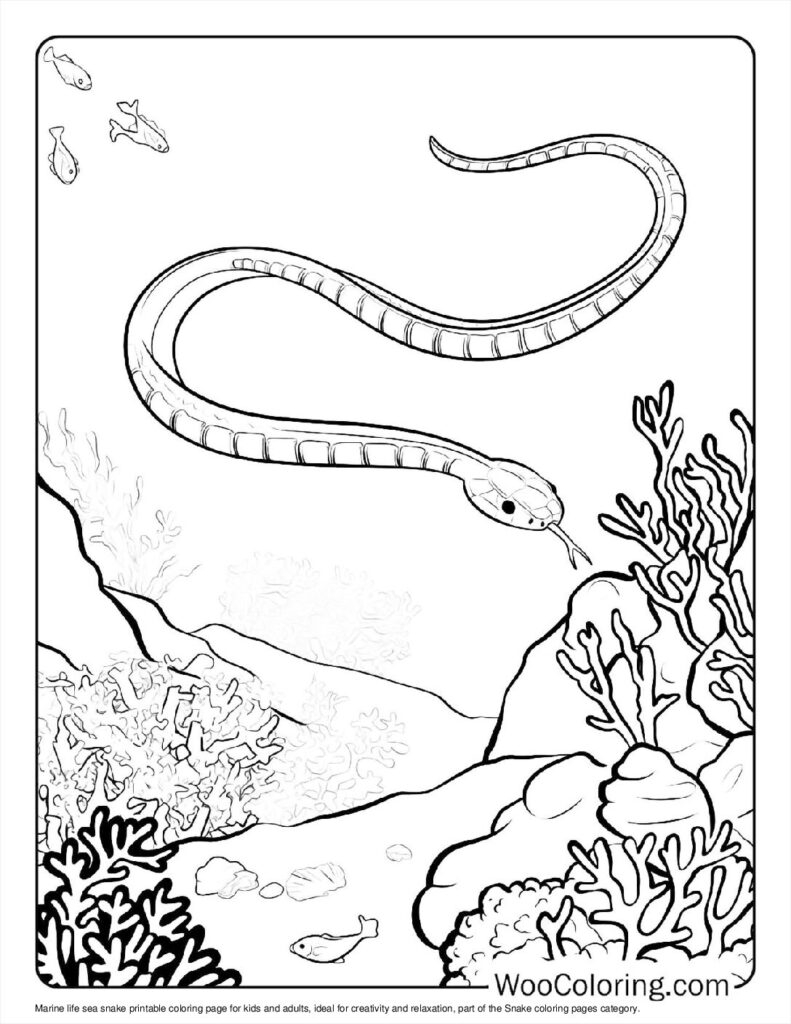 100 Snake Coloring Pages Free PDF To Print Woo Coloring