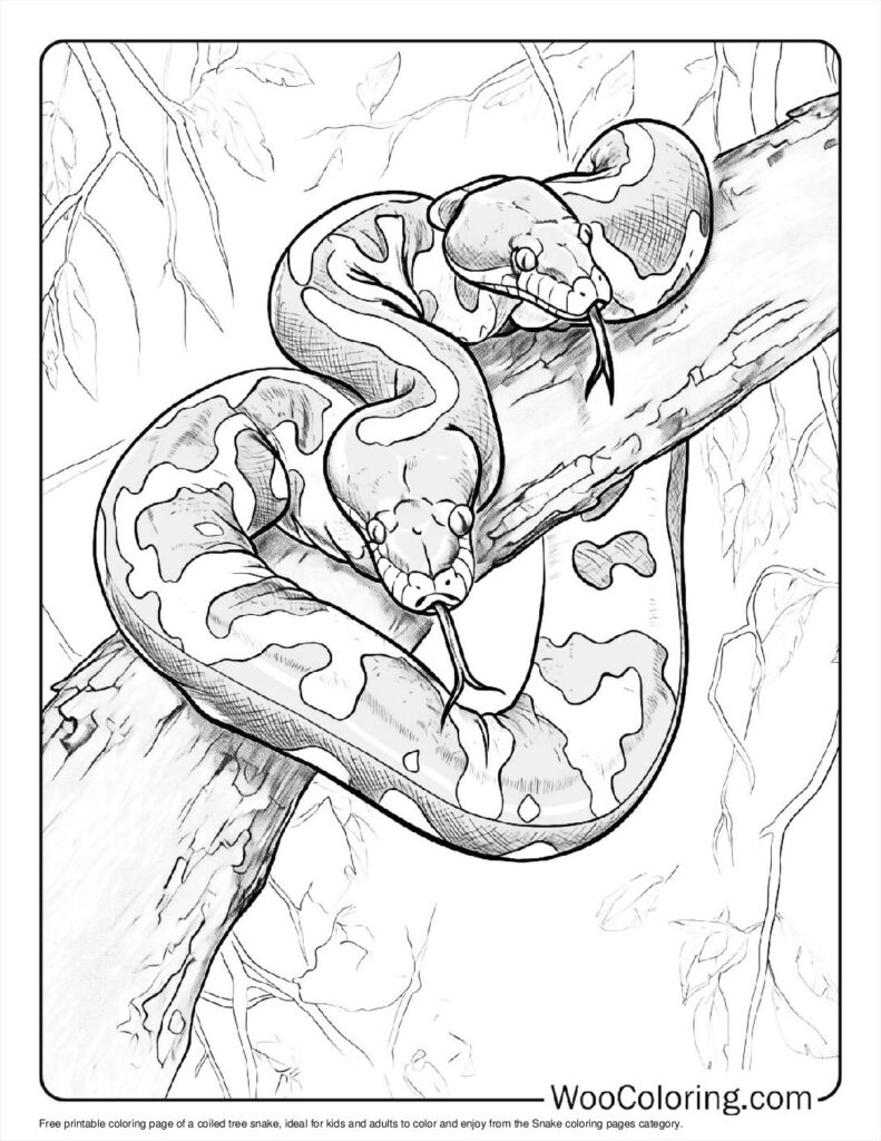 coloring pages of snakes