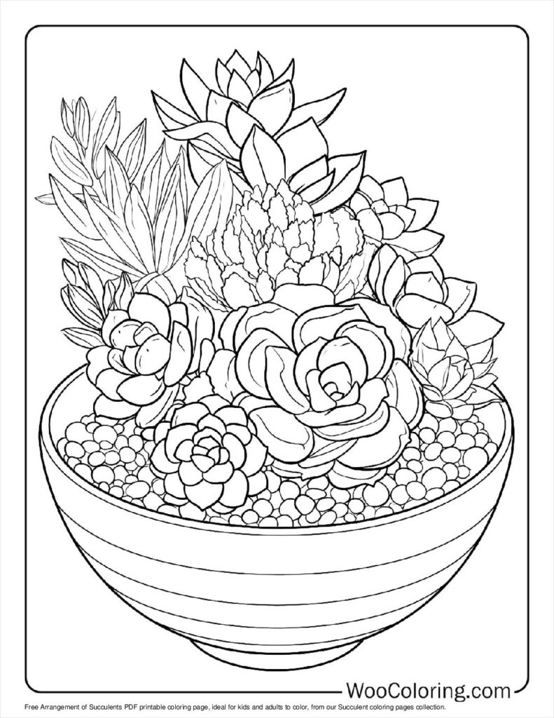 100 Succulent Coloring Pages Free PDF To Print Woo Coloring