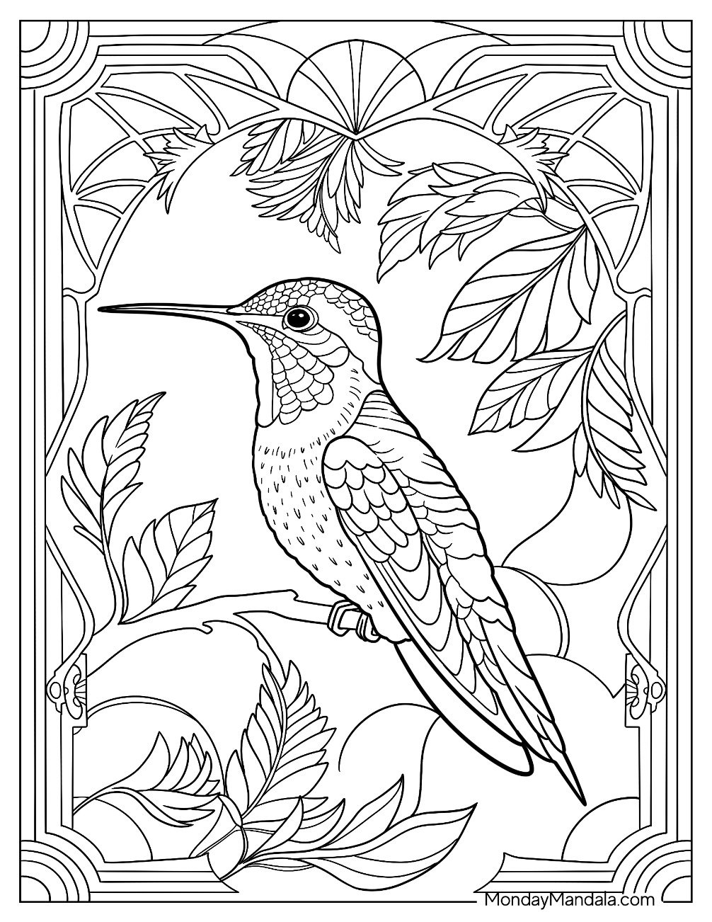 hummingbird coloring page