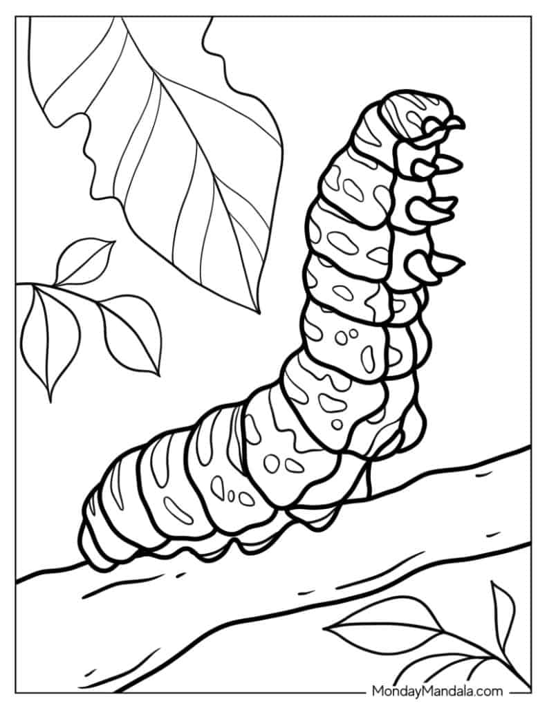 20 Caterpillar Coloring Pages Free PDF Printables 20 Caterpillar Coloring Pages Free PDF Printables