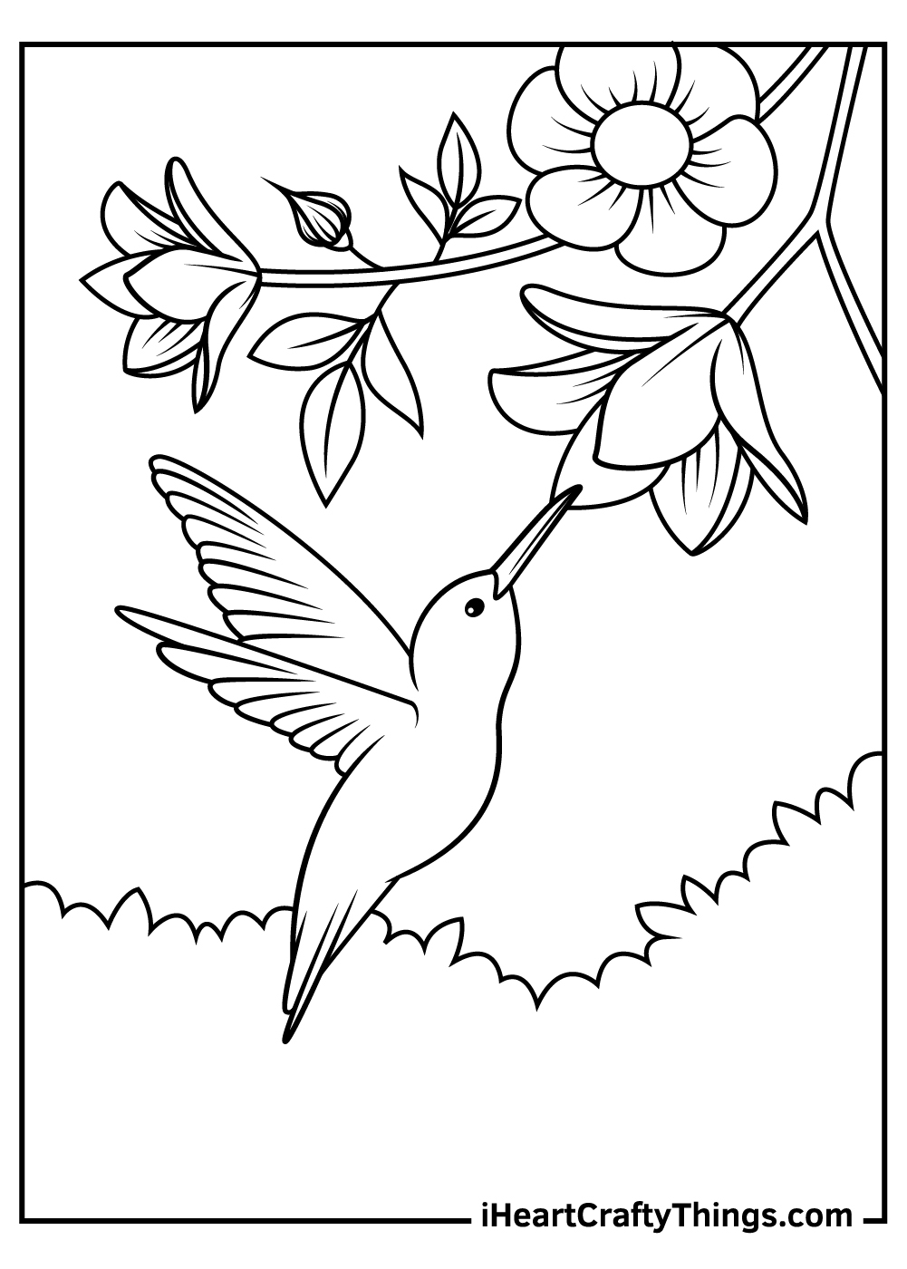 coloring pages of hummingbirds coloring pages of hummingbirds