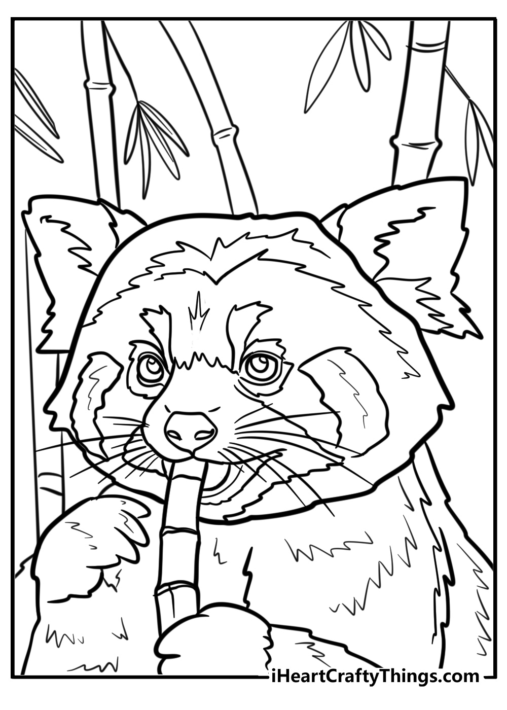 red panda coloring page
