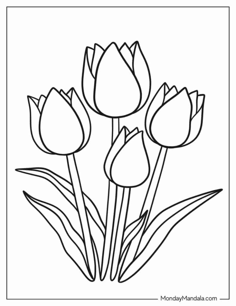 tulip coloring pages tulip coloring pages