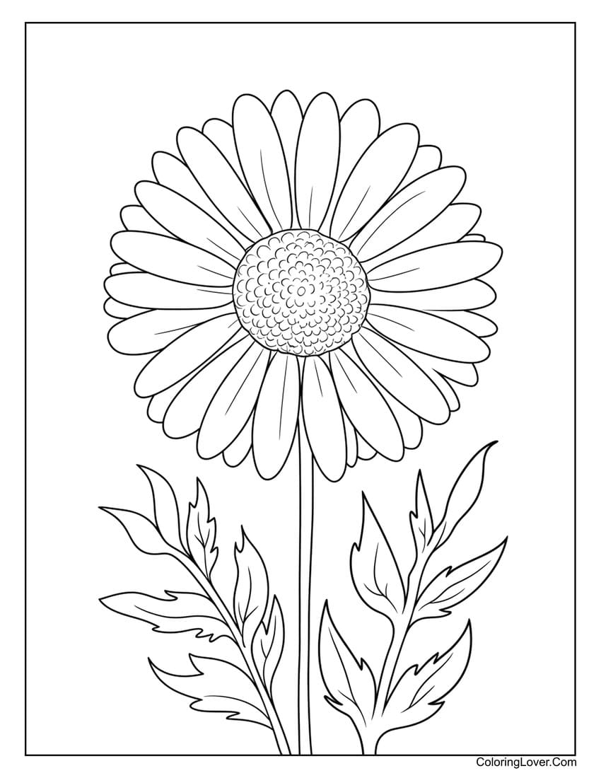 39 Daisy Coloring Pages Free Printables For All Ages 