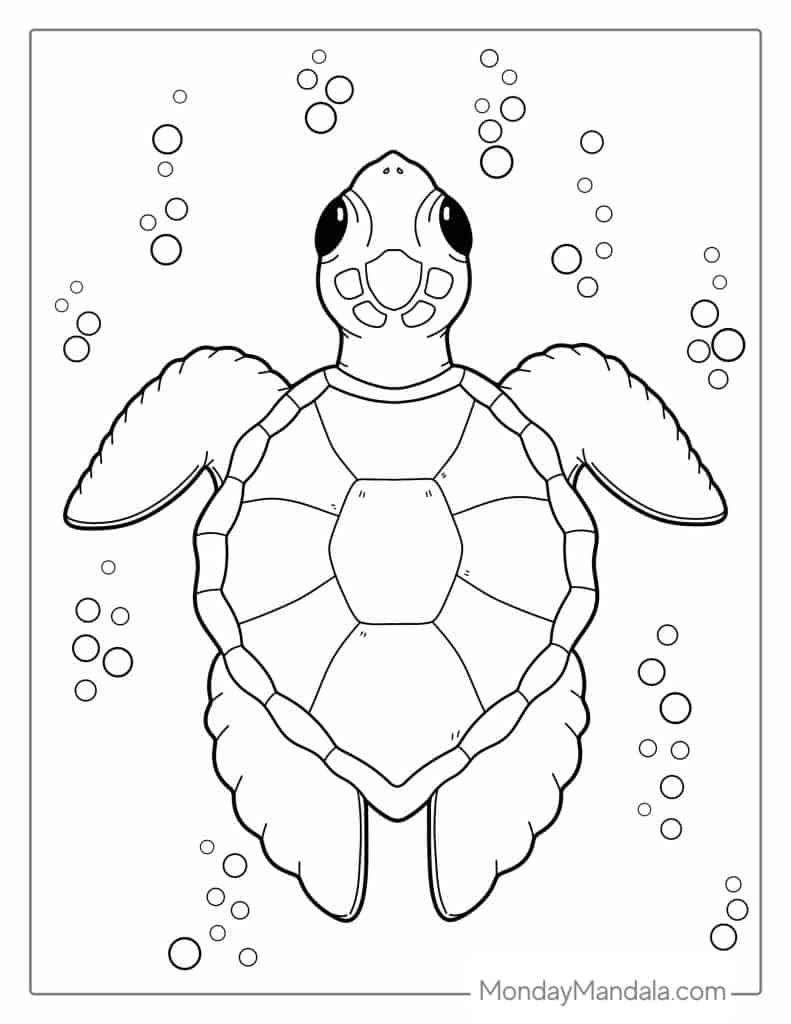 coloring pages sea turtle