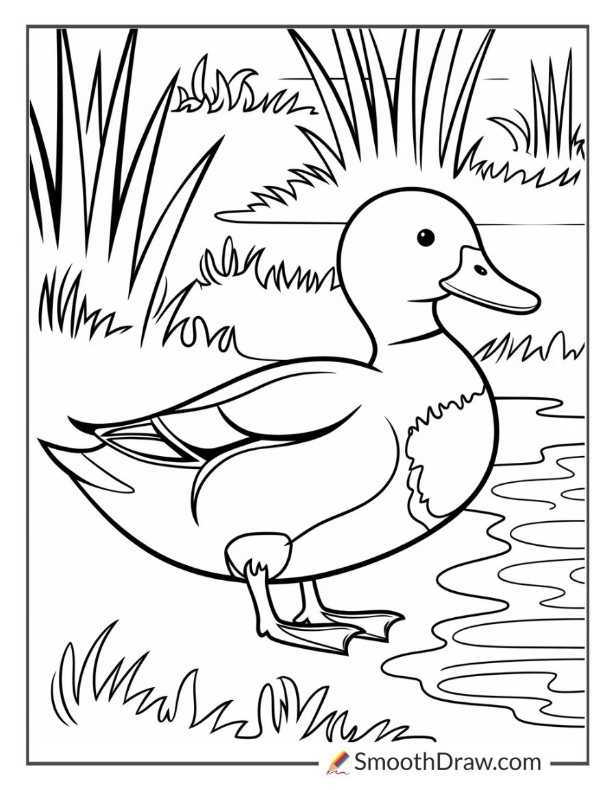 duck and duckling coloring pages duck and duckling coloring pages