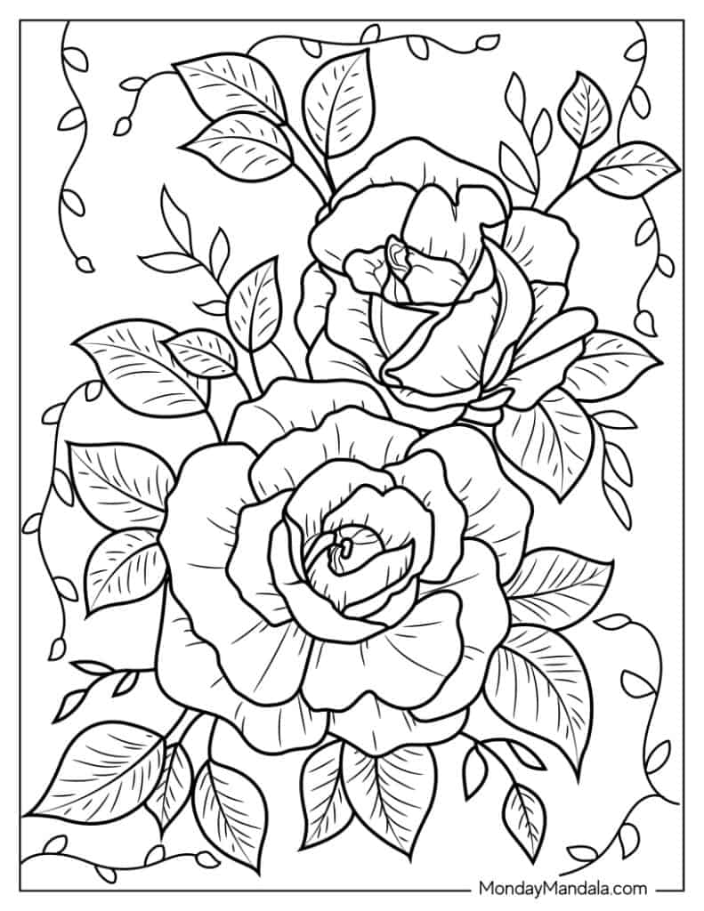 coloring pages of roses