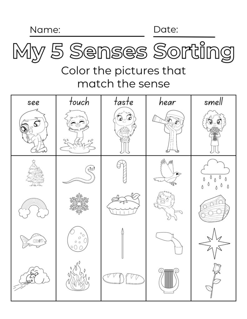 5 Senses Worksheet For Preschool FREE Resource Healing Home