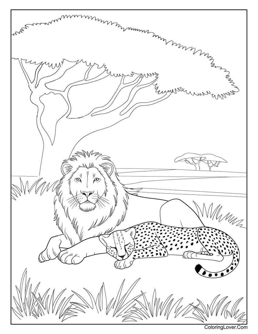 lion coloring page