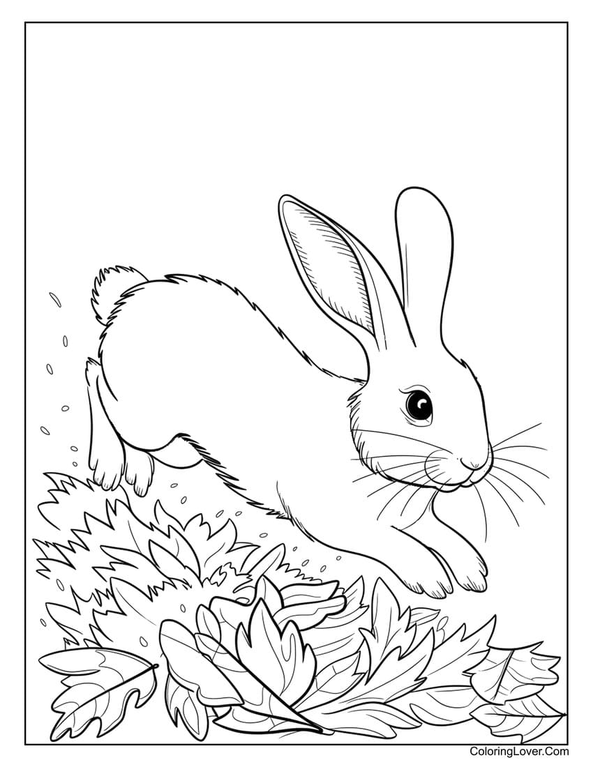 rabbit coloring pages