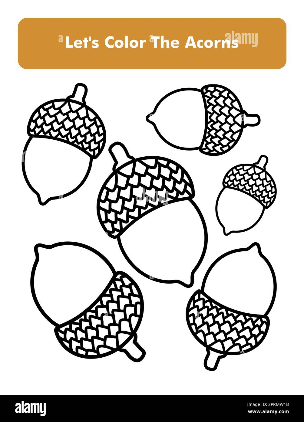 acorn coloring pages