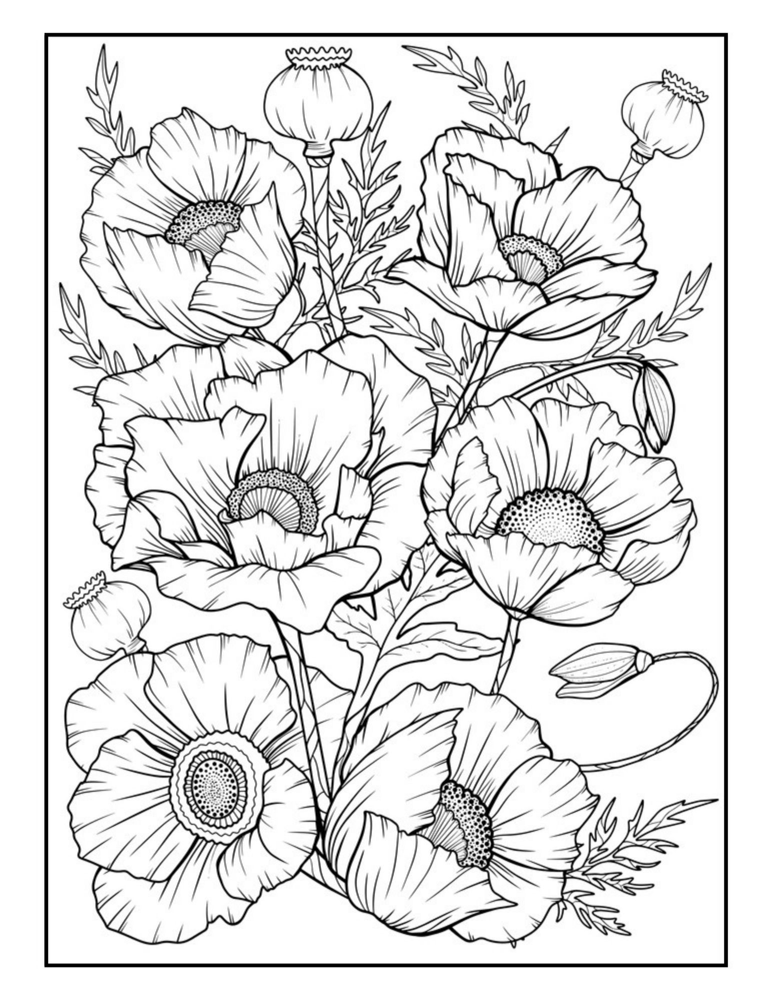 flower coloring pages for adults flower coloring pages for adults