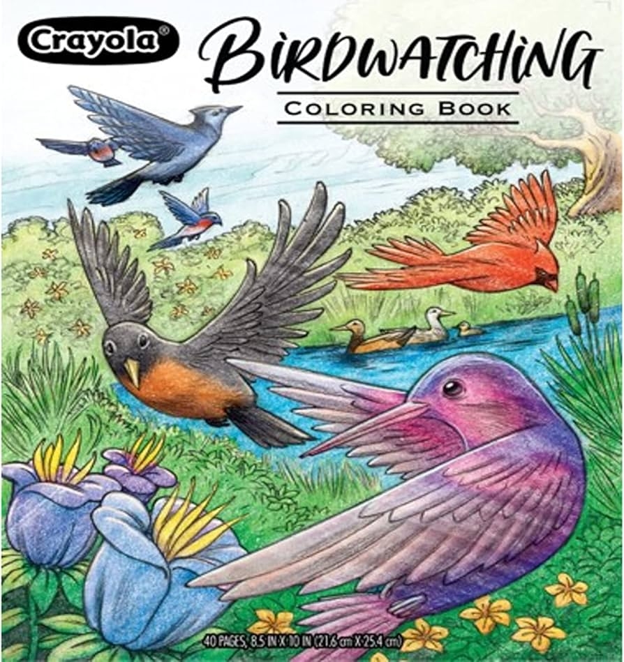 bird coloring book pages