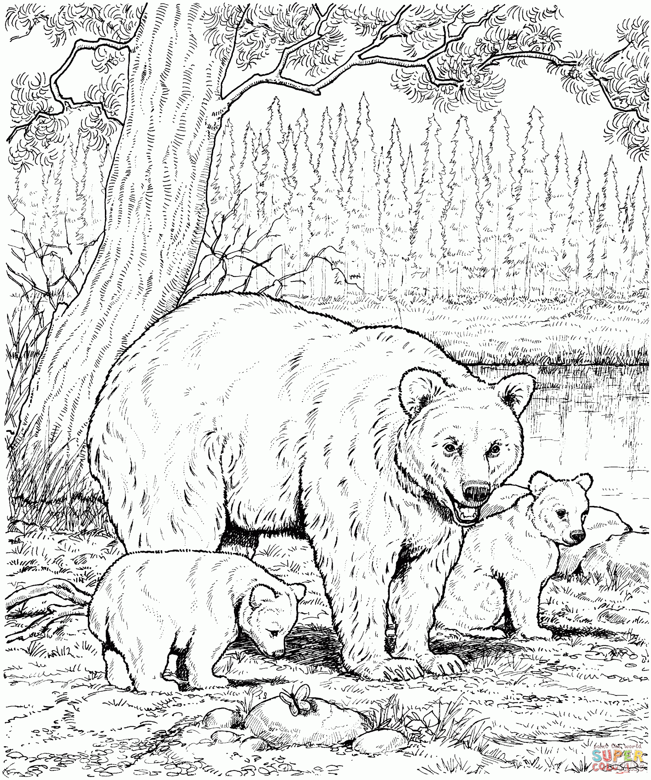 American Black Bears 15 Free Printable Coloring Pages