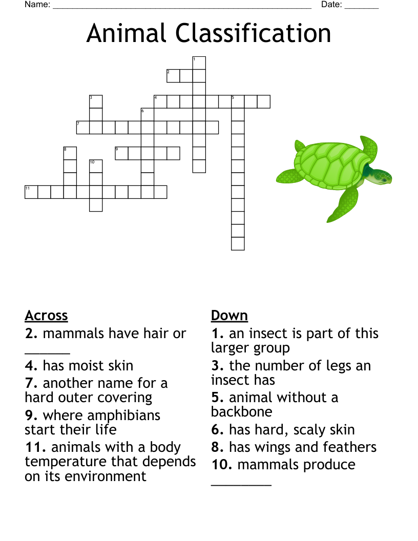 Animal Classification Crossword WordMint Animal Classification Crossword WordMint