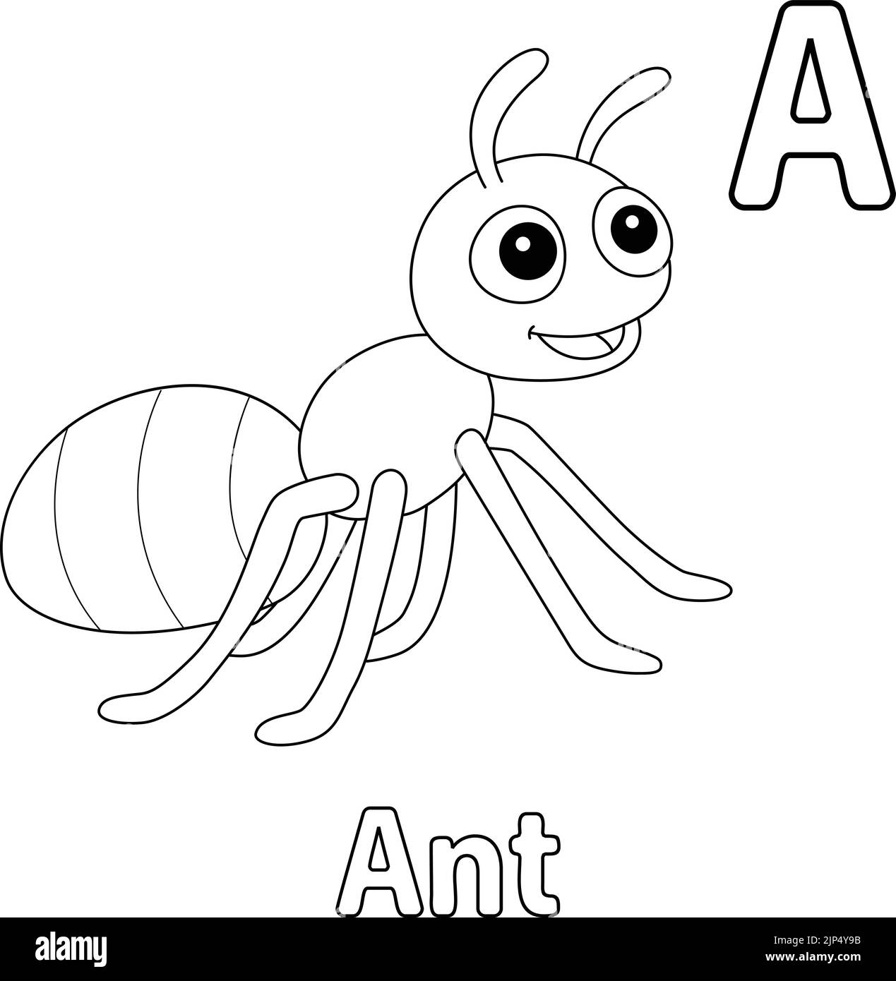 Ant Coloring Page Black And White Stock Photos Images Alamy
