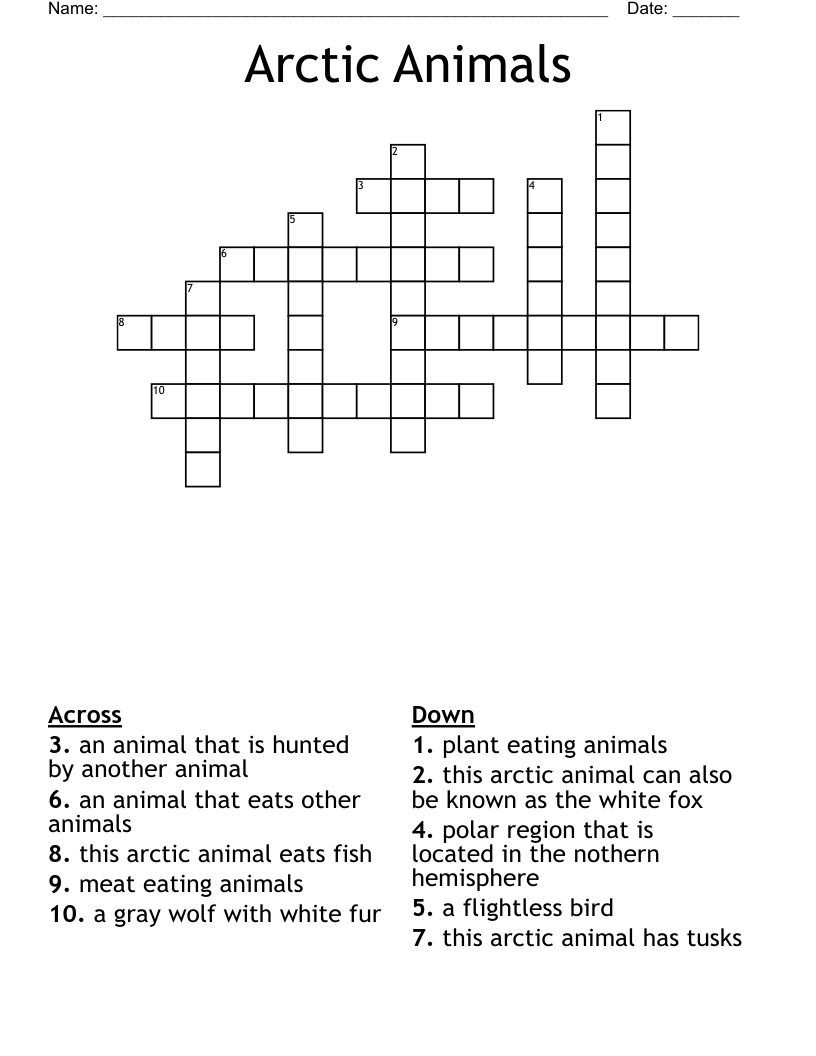 Arctic Animals Crossword WordMint Arctic Animals Crossword WordMint