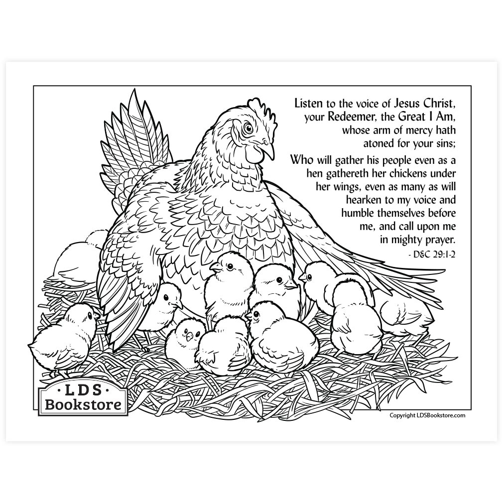 As A Hen Gathereth Her Chickens Coloring Page Printable Doctrine And Covenants Coloring Page