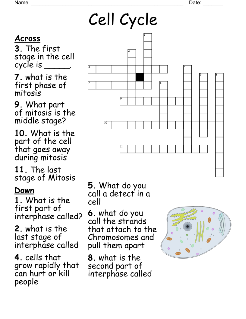 Attachment Crossword WordMint