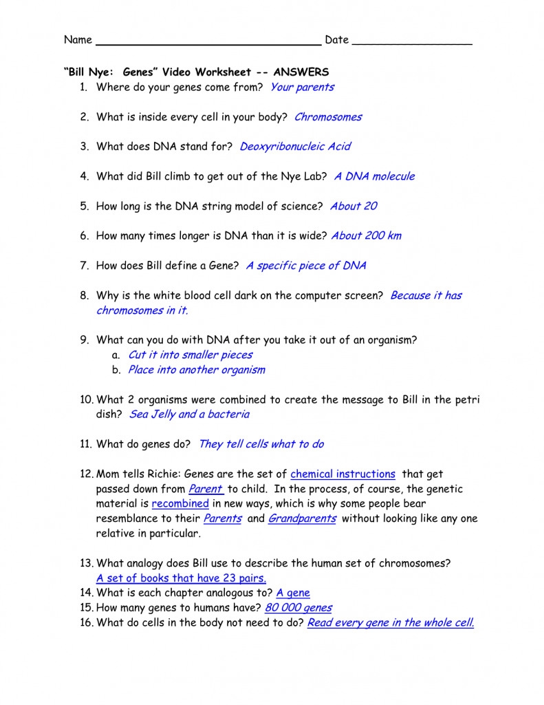 bill nye chemical reactions worksheet