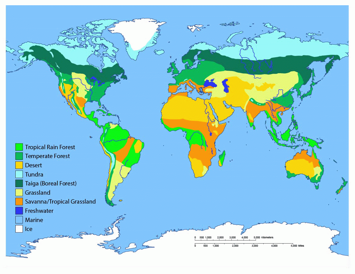biome map coloring worksheet