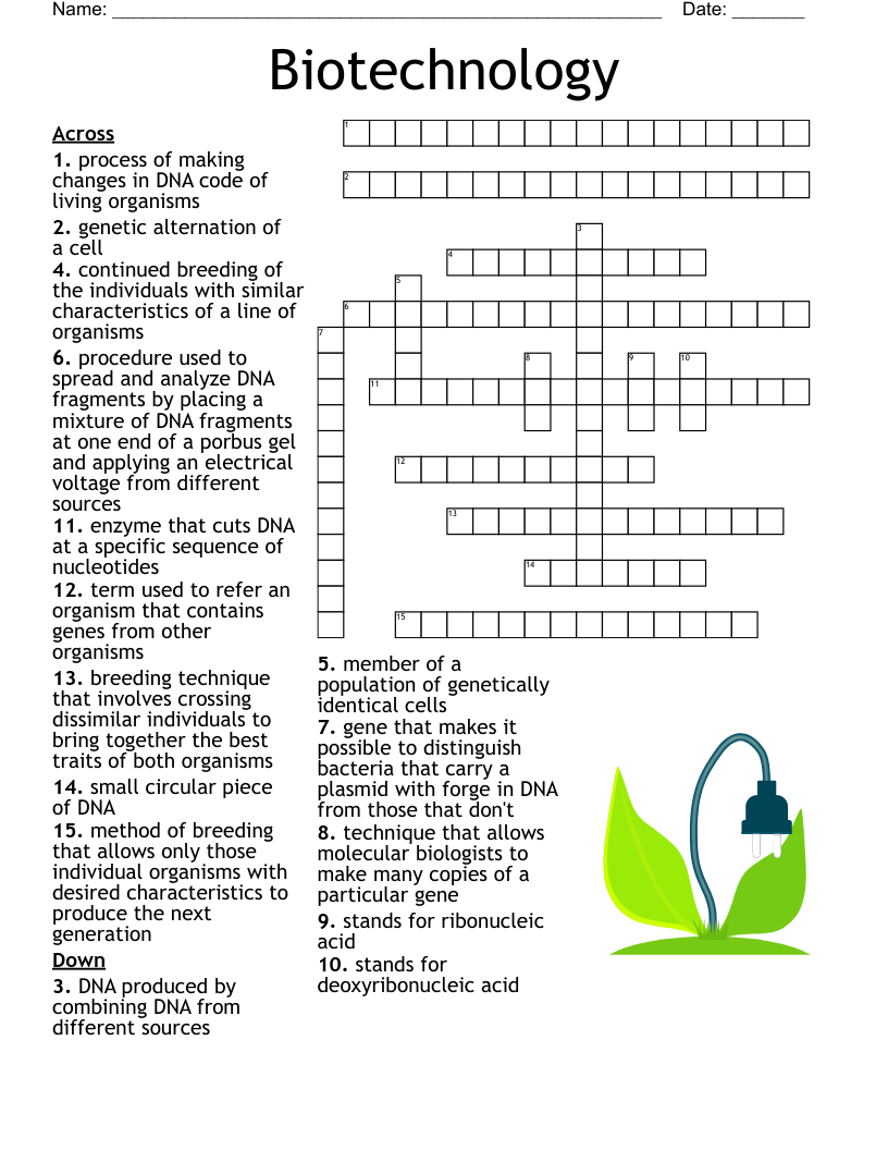 Biotechnology Crossword WordMint Biotechnology Crossword WordMint