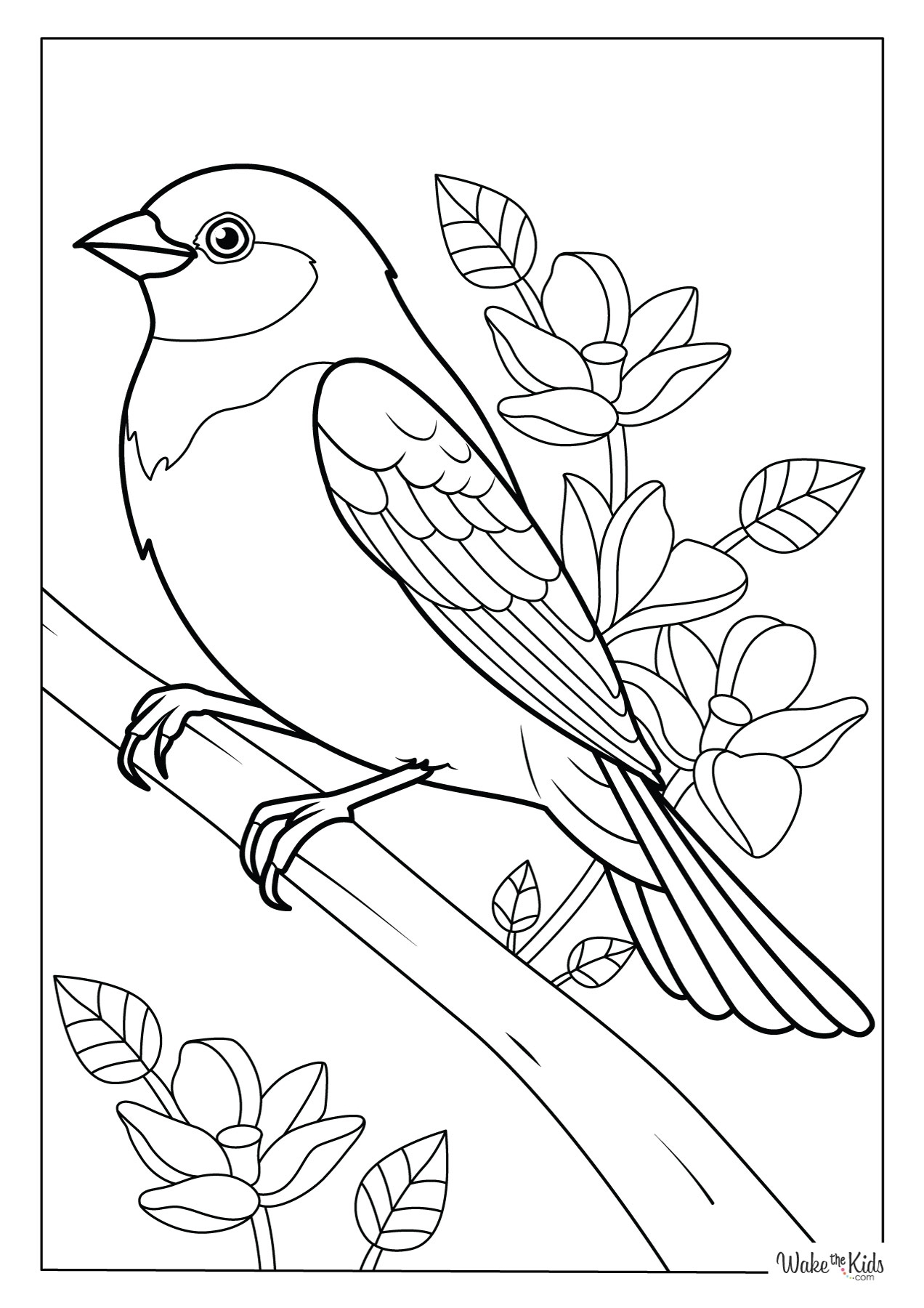 bird coloring page