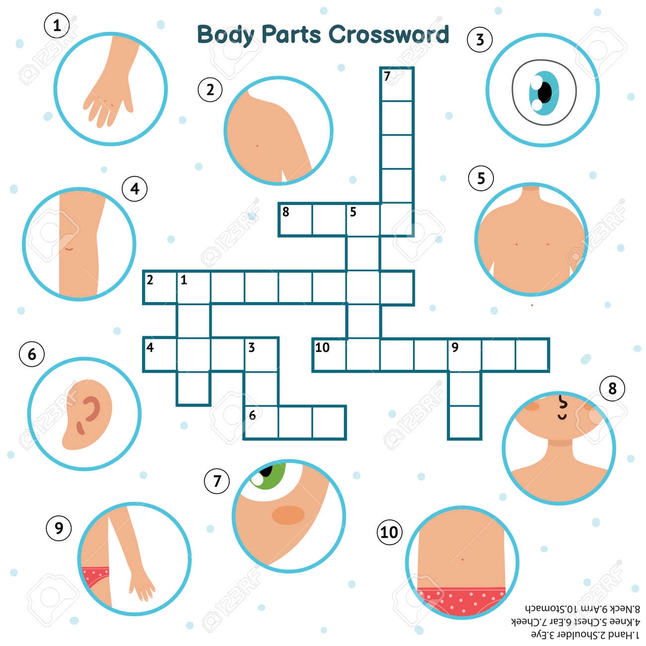 Body Parts Crossword With Hand Eye Shoulder Knee Chest Ear Cheek Neck Arm Royalty Free SVG Cliparts Vectors And Stock Illustration Image 157118896 