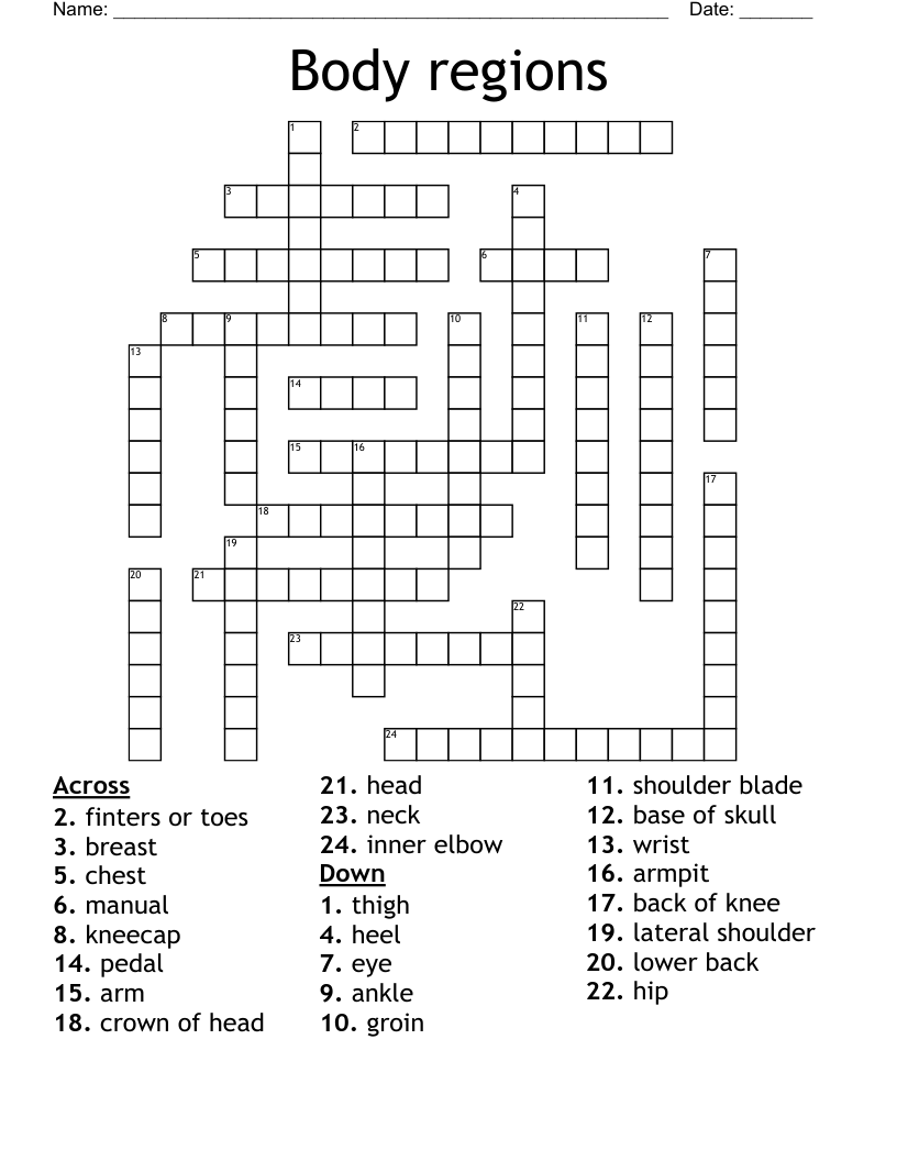 Body Regions Crossword WordMint