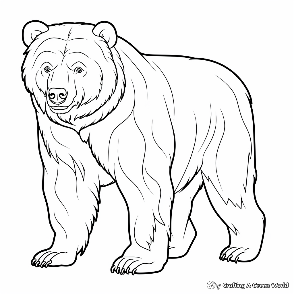 Brown Bear Coloring Pages Free Printable 