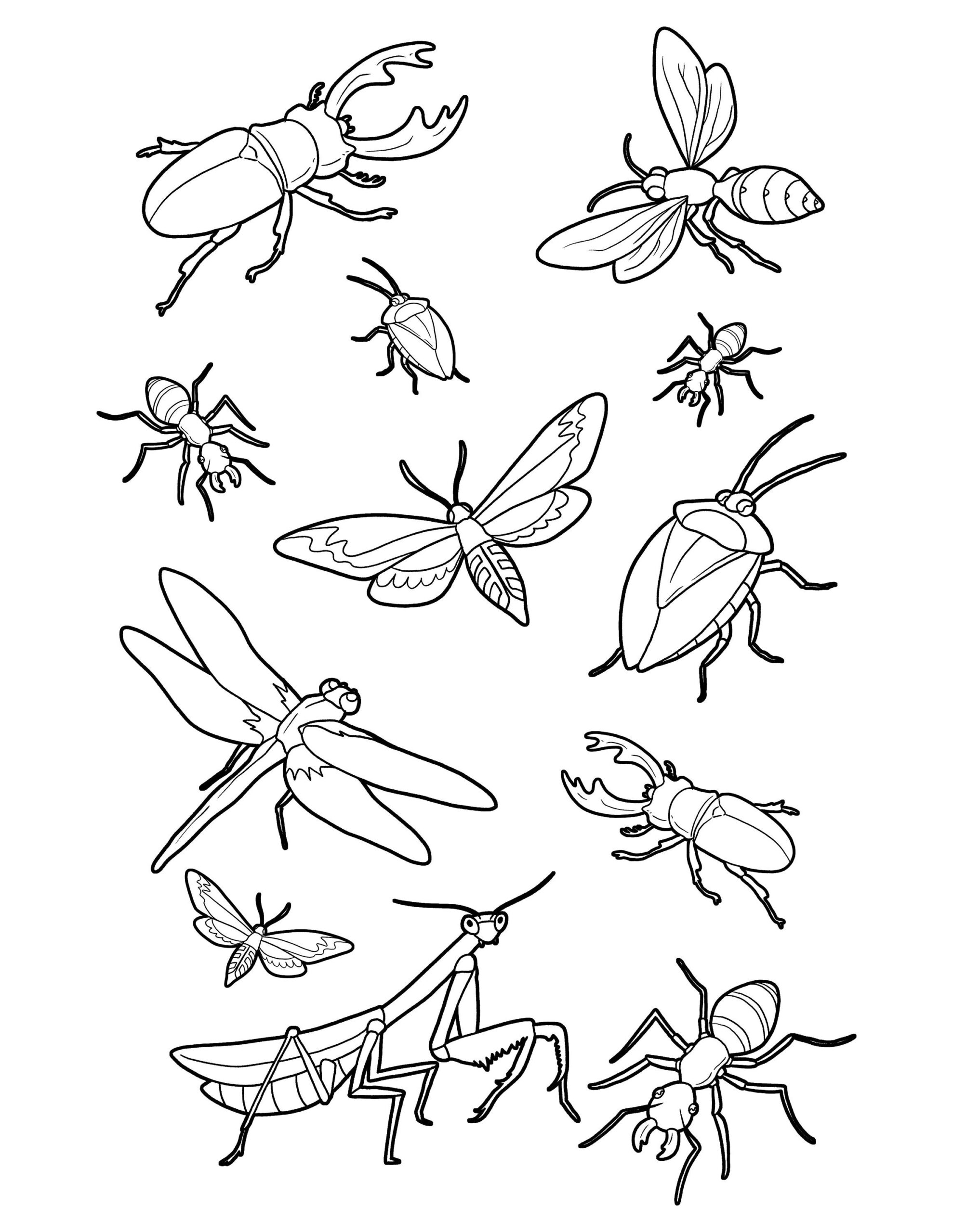 bug coloring page