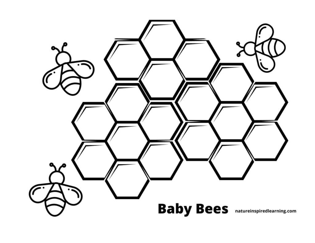 Busy Bee Coloring Pages Nature Inspired Learning Busy Bee Coloring Pages Nature Inspired Learning