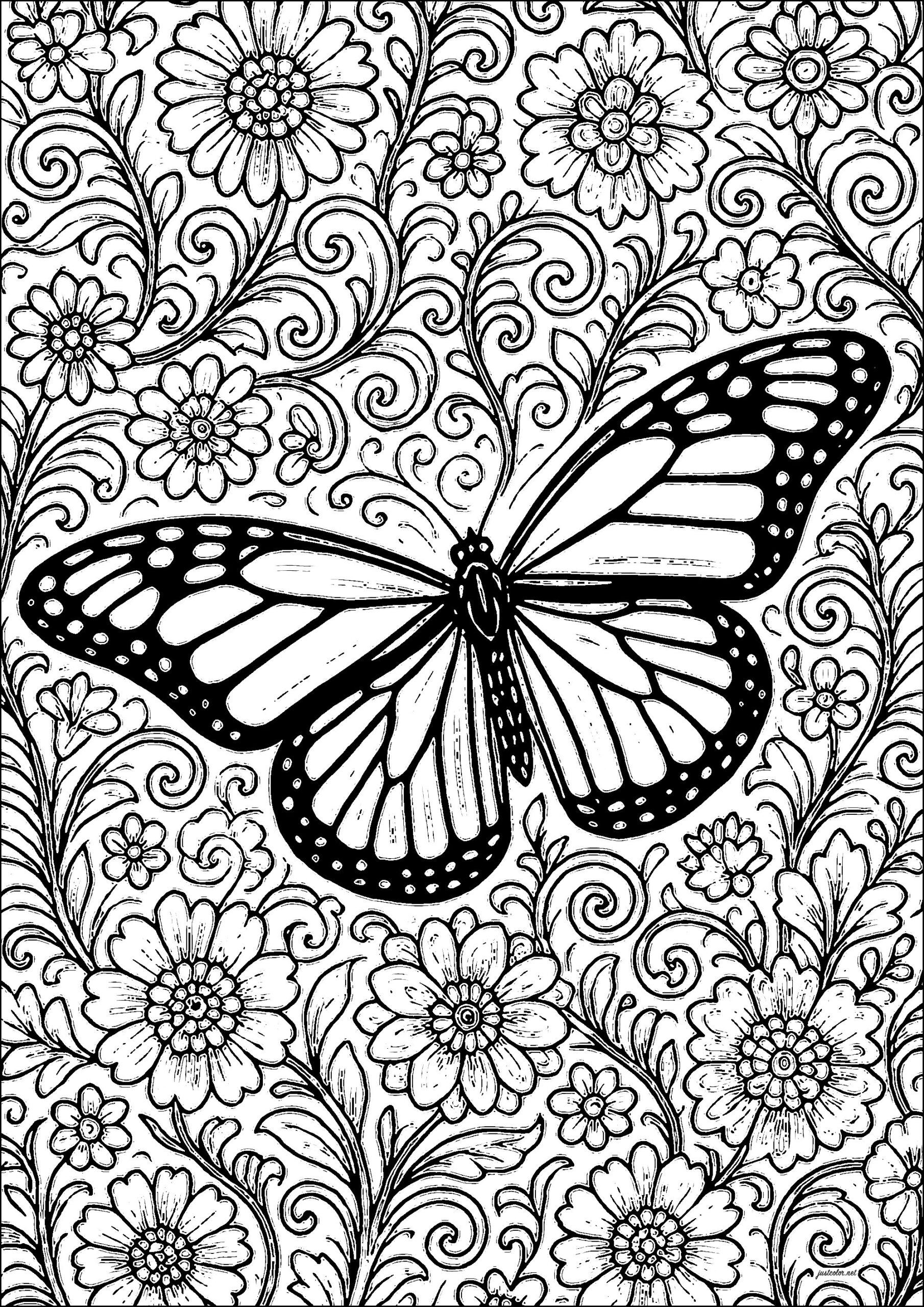 Butterfly On Floral Background Butterflies Insects Coloring Pages For Adults