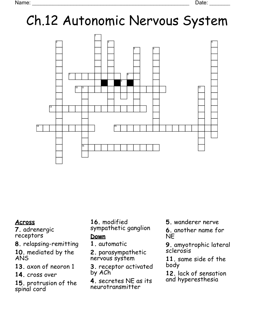 Ch 12 Autonomic Nervous System Crossword WordMint