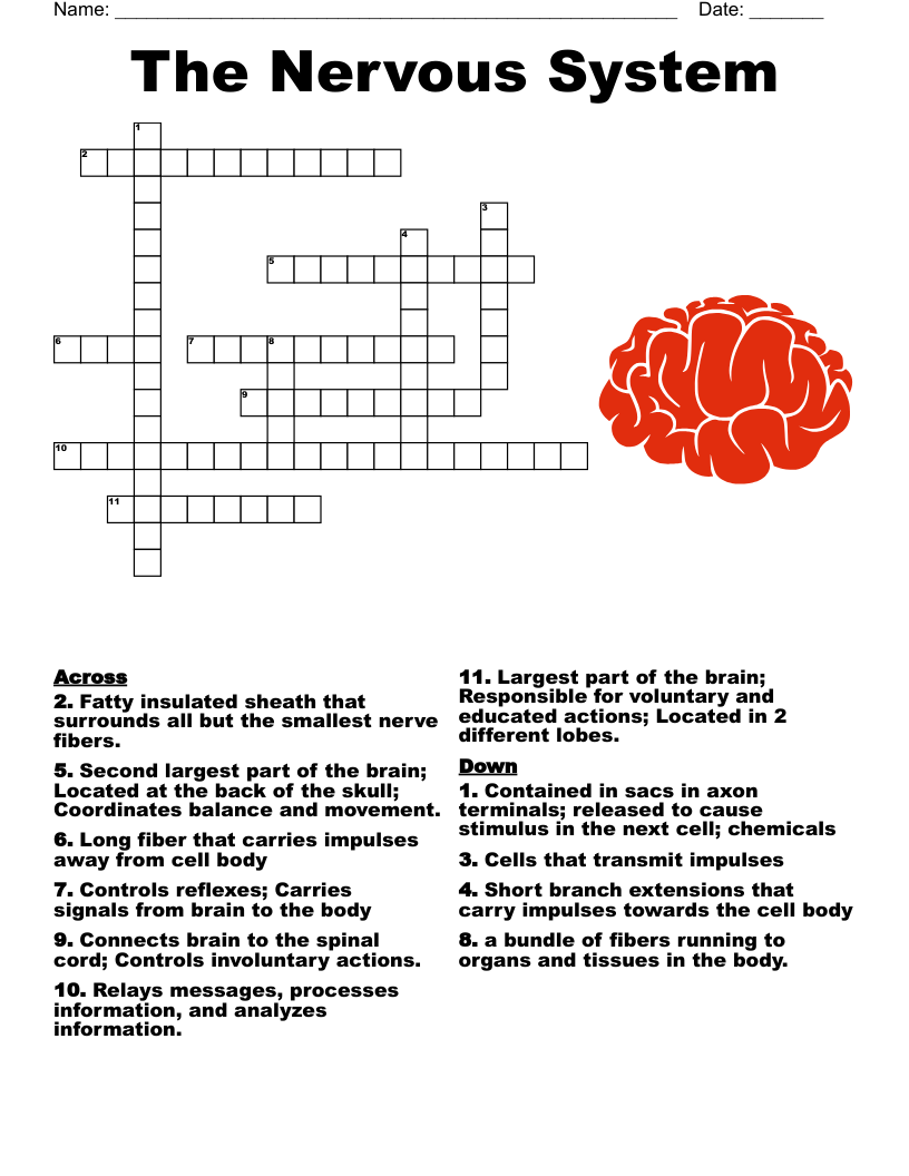 Ch 13 PNS Crossword Puzzle WordMint
