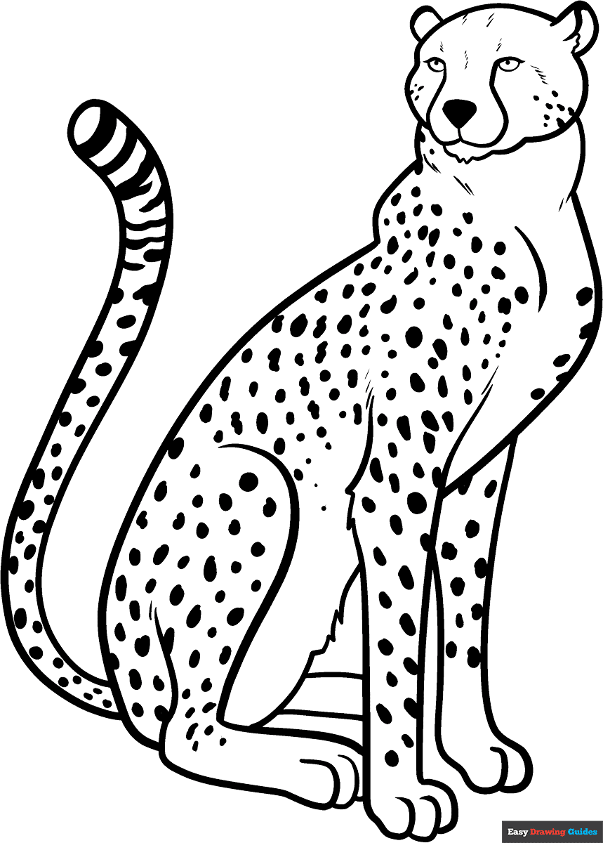 Cheetah Coloring Page Easy Drawing Guides Cheetah Coloring Page Easy Drawing Guides