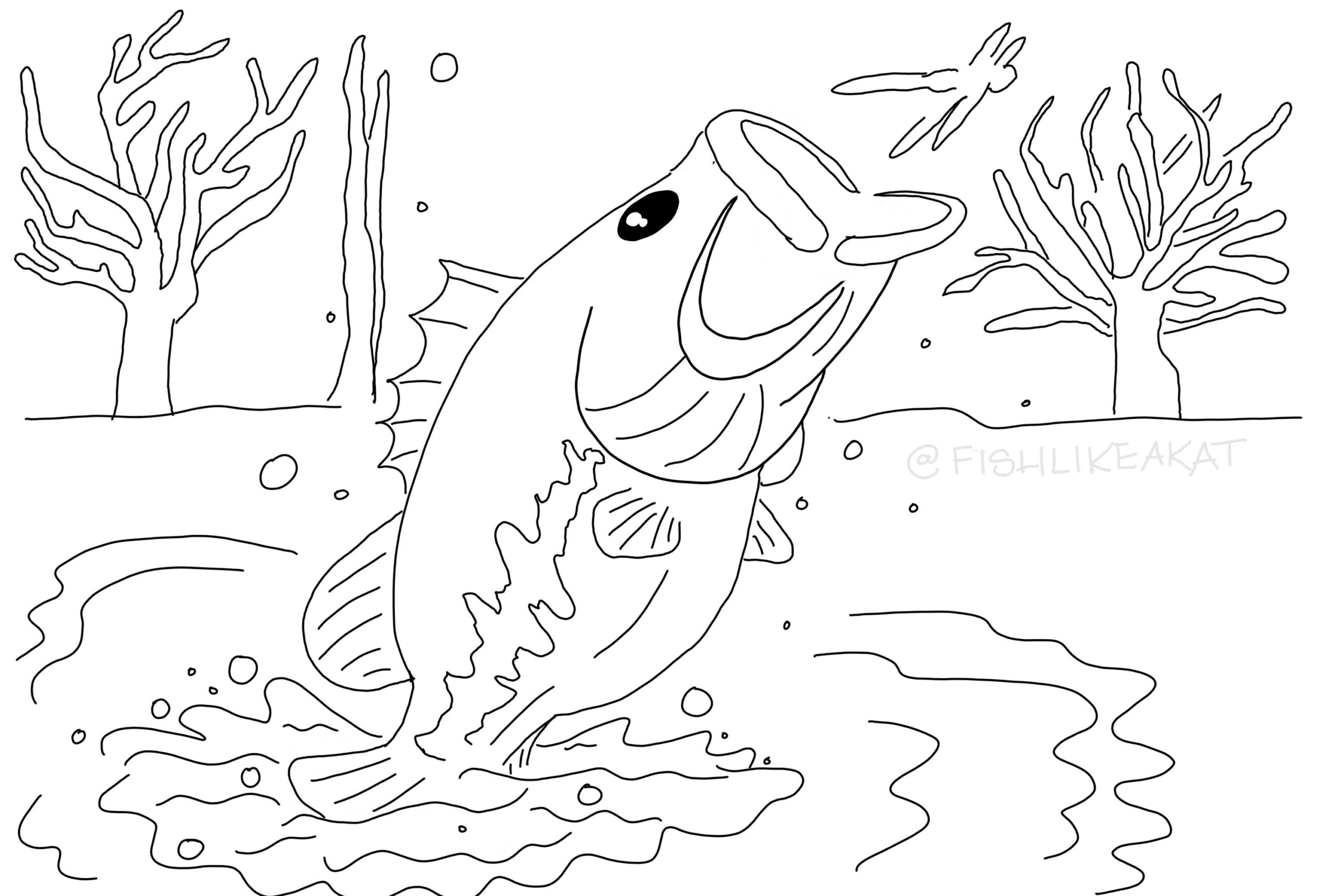fishing coloring page