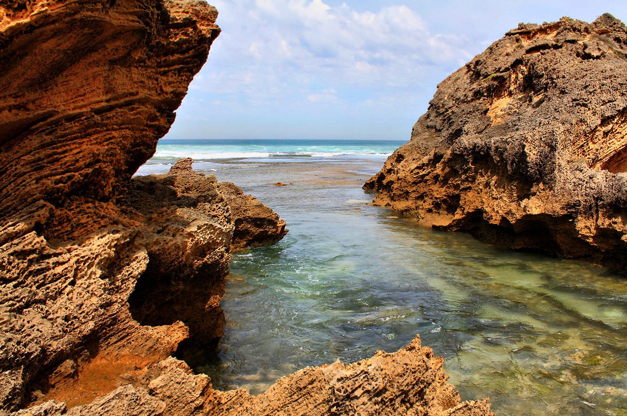 coastal inlet crossword clue