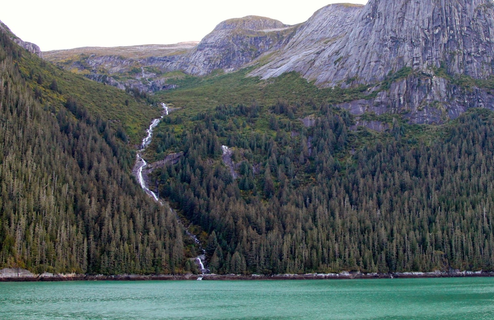 Coastal Inlet Crossword Clue