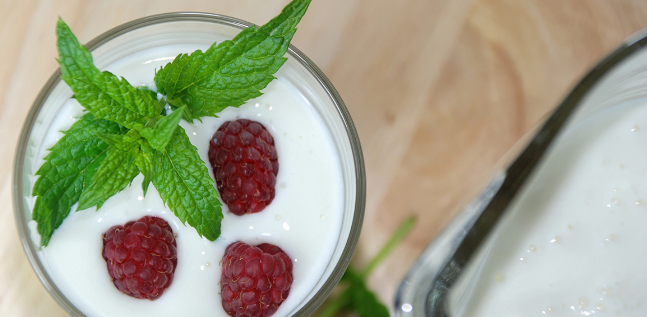 cold yogurt drink crossword cold yogurt drink crossword