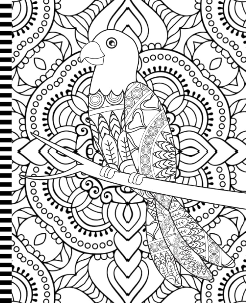 Color Your Own Notebook Cover Composition Book 7 5 X 9 25 Inch 200 Pages 100 Sheets Wide