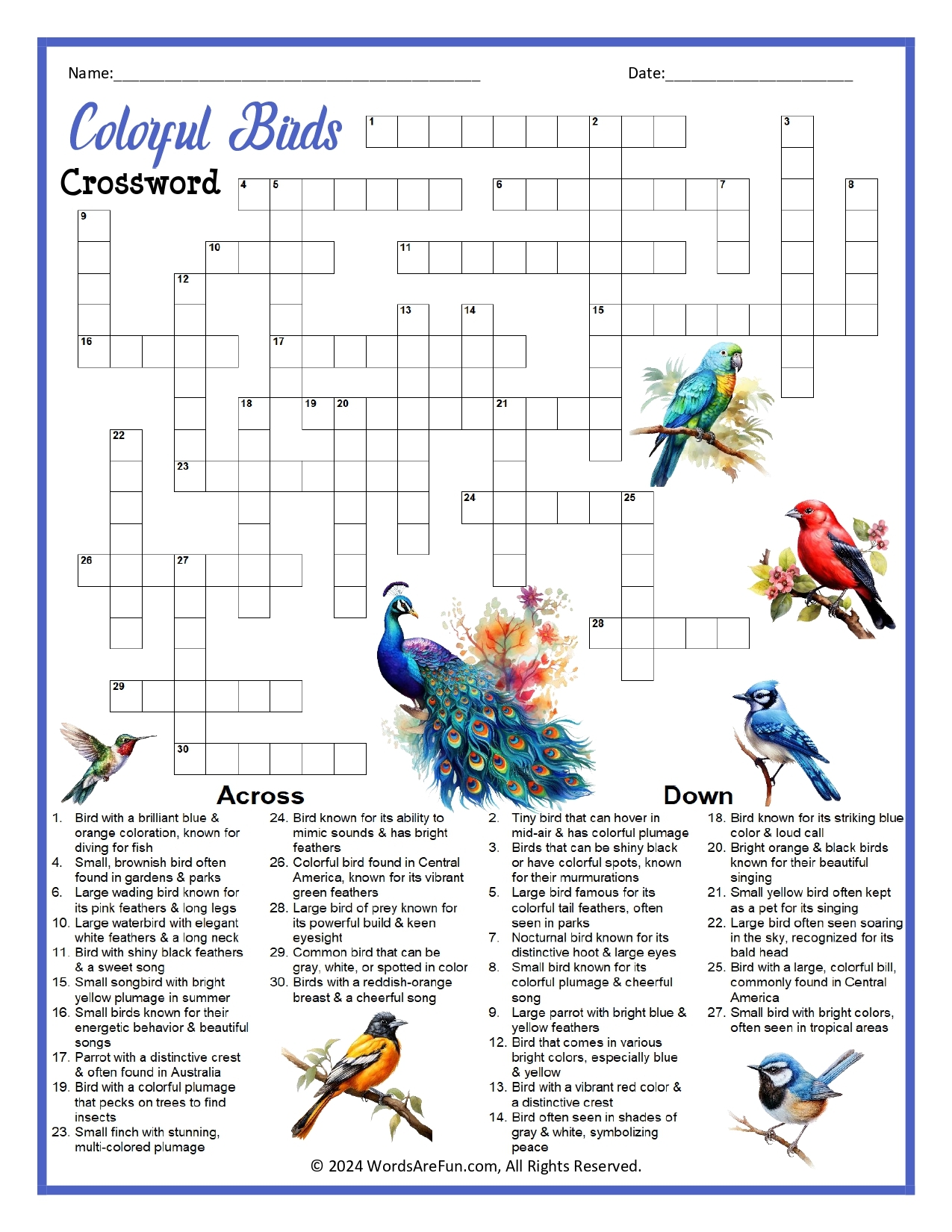 bird related crossword clue bird related crossword clue