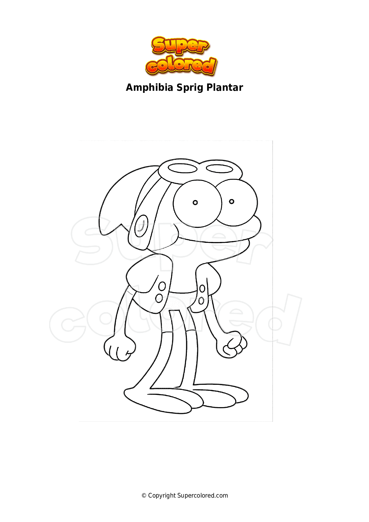 Coloring Page Amphibia Sprig Plantar