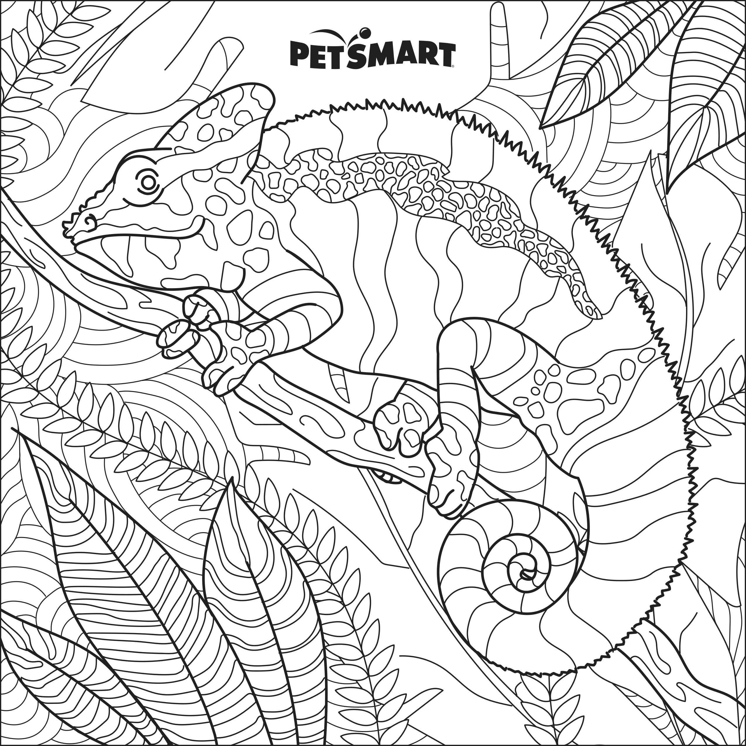 Coloring Sheets Download And Print Education Grants