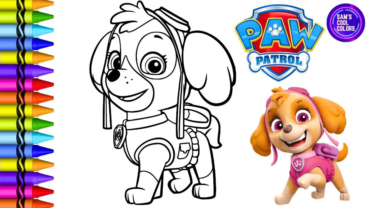 paw patrol skye coloring pages
